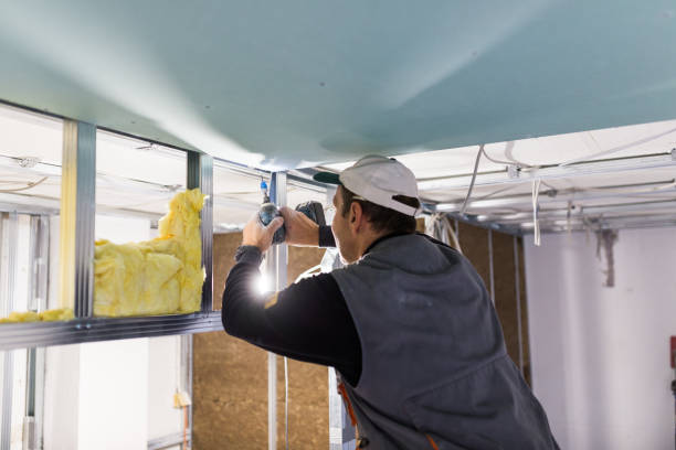 Best Cellulose Insulation  in Louisburg, NC