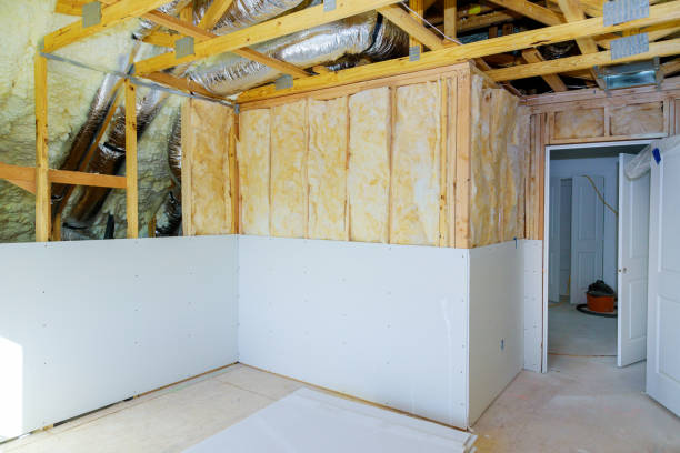 Best Blown-in Insulation  in Louisburg, NC