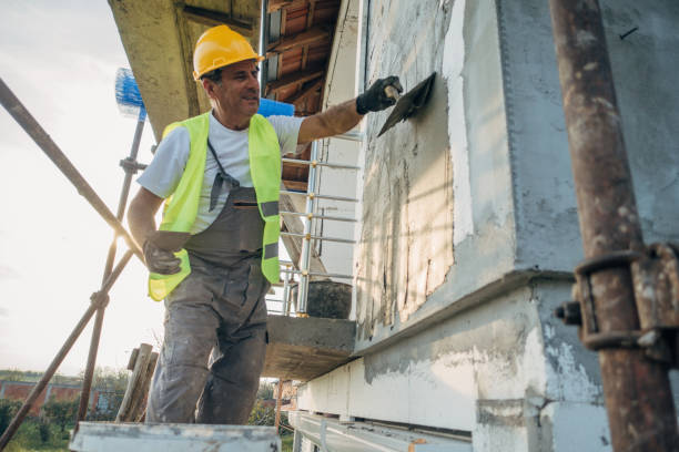 Best Insulation Replacement Services  in Louisburg, NC