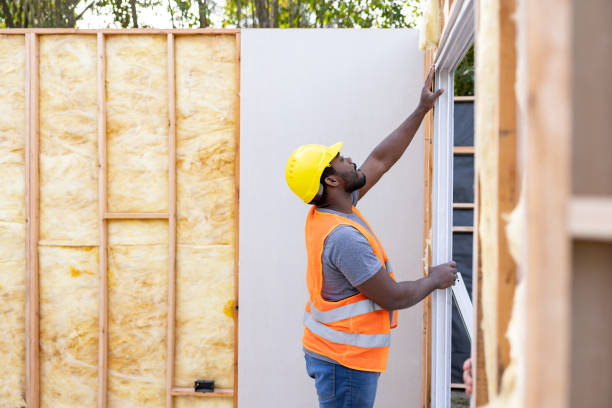 Best Insulation Contractors for Homes  in Louisburg, NC