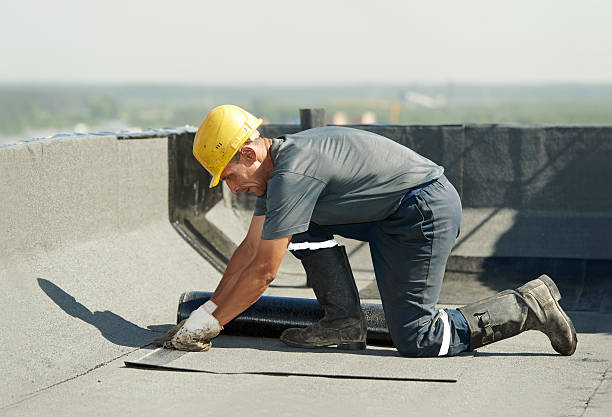 Best Residential Insulation Services  in Louisburg, NC