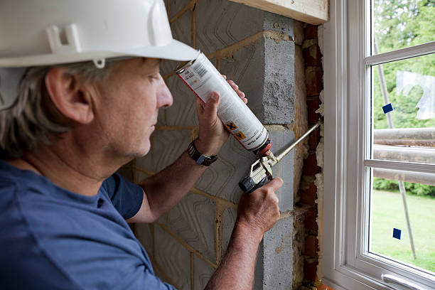 Best Insulation Repair Services  in Louisburg, NC