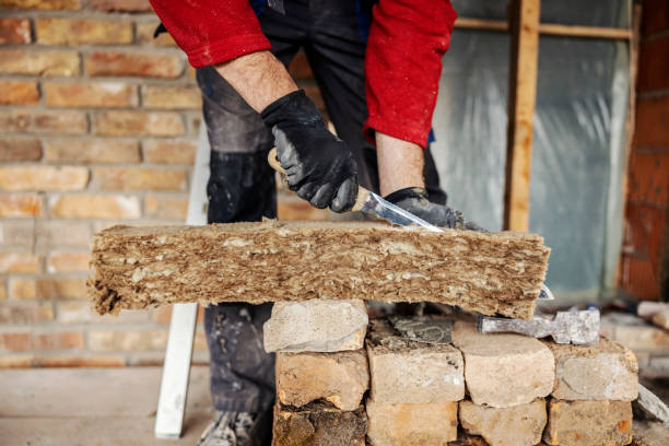 Best Insulation Removal  in Louisburg, NC