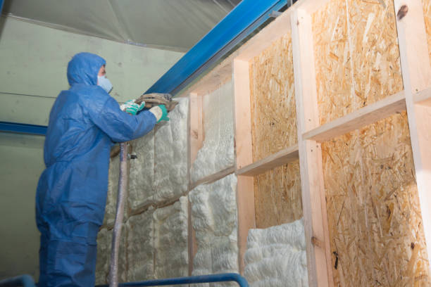 Best Local Insulation Services  in Louisburg, NC
