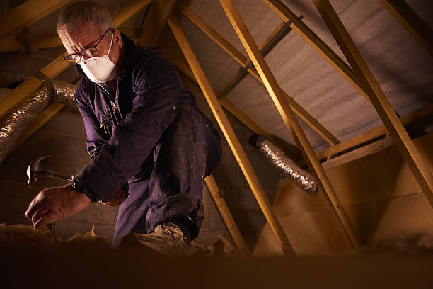 Reliable Louisburg, NC Insulation Contractor Solutions