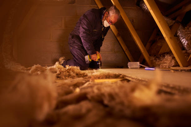 Best Fiberglass Insulation  in Louisburg, NC